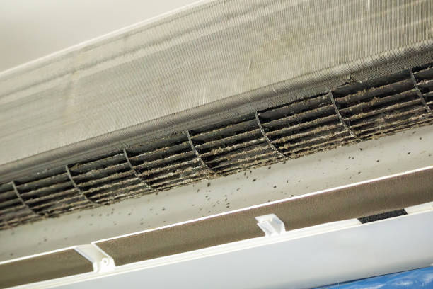 Best Ductwork Cleaning Services  in Big Bear City, CA